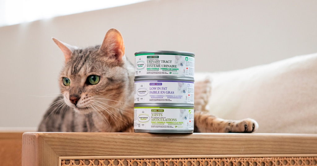 Cat lying beside Oven-Baked Tradition CARE wet food recipes for urinary health, joint care and low fat.